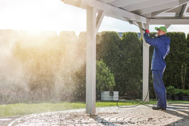 Best Driveway Pressure Washing  in Buffalo, MO