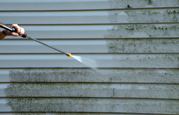 Best Solar Panel Cleaning  in Buffalo, MO