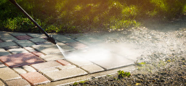 Animal Enclosure Cleaning in Buffalo, MO